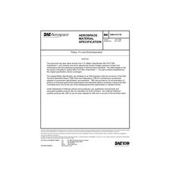 SAE AMS-P-81728