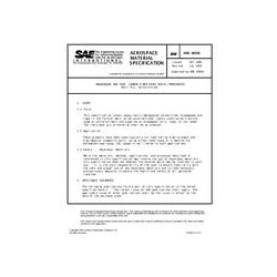 SAE AMS3895B