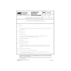 SAE AMS3797/6B