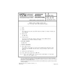 SAE AMS3797/1B