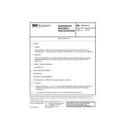 SAE AMS2451/12