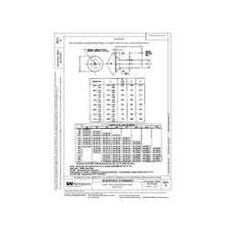 SAE AS 125101 thru AS 125250A