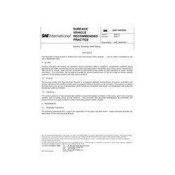 SAE J2481_200911