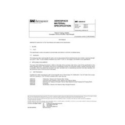SAE AMS4941E