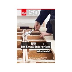 ISO 9001:2015 for Small Enterprises - What to do