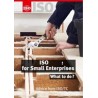 ISO 9001:2015 for Small Enterprises - What to do