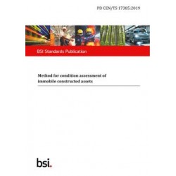 BS PD CEN/TS 17385:2019