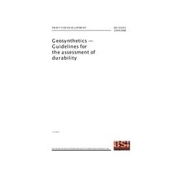 BS DD ISO/TS 13434:2008