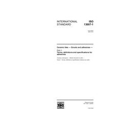 ISO 13007-1:2004