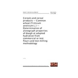 BS DD CEN/TS 15731:2008